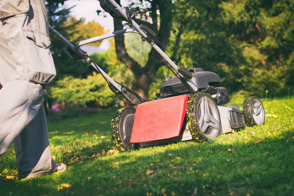 Basispakken – Det basale vedligehold